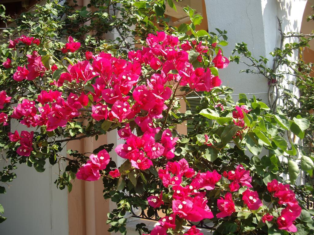 Athina Apartments Kato Korakiana Luaran gambar